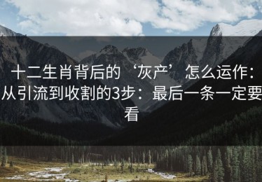 十二生肖背后的‘灰产’怎么运作：从引流到收割的3步：最后一条一定要看