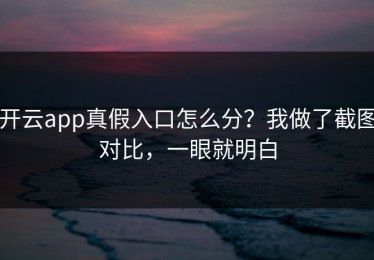 开云app真假入口怎么分？我做了截图对比，一眼就明白