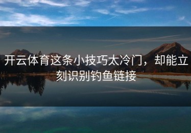 开云体育这条小技巧太冷门，却能立刻识别钓鱼链接