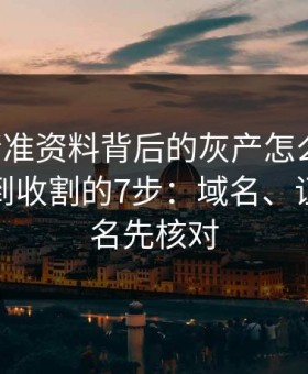 99tk精准资料背后的灰产怎么运作：从引流到收割的7步：域名、证书、签名先核对